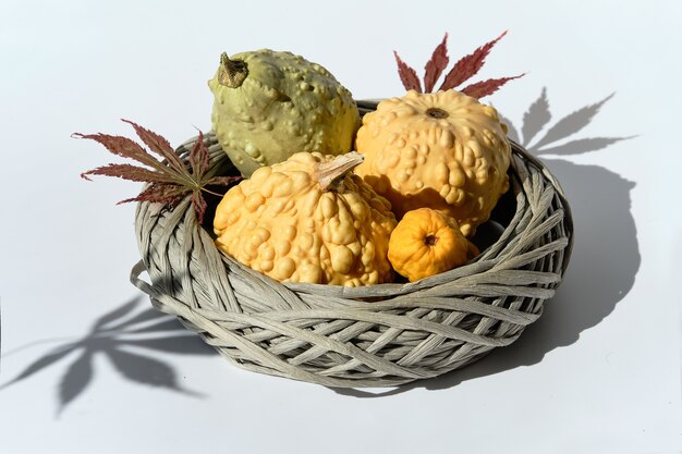 Natürliche Herbstdekorationen, dekorative Kürbisse im Rattankorb.