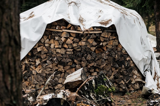 Natürliche Holzstämme