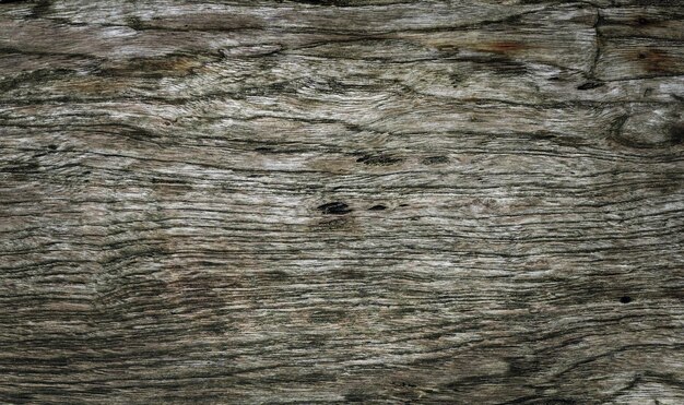 Natürliche Holzstruktur Oberfläche durch Zeit erodiertAlter Holzhintergrund Selektiver Fokus