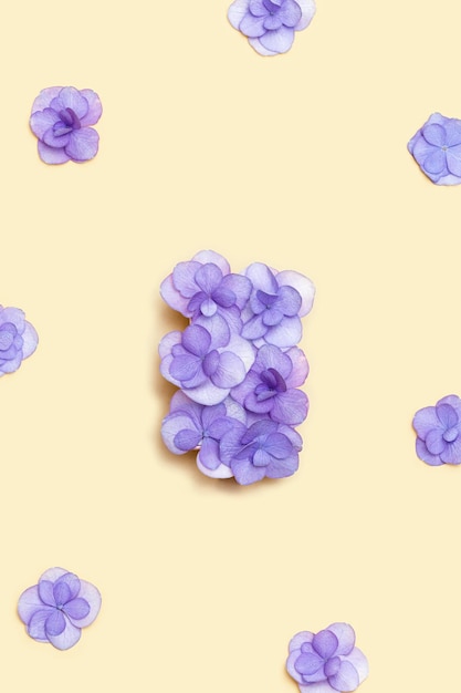 Natürliche Hortensie violette Blume minimales Blumenmuster auf beigem Hintergrund Layout mit Blumen