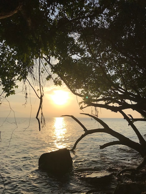 Natürliche Meereslandschaft des Sonnenaufganghimmels