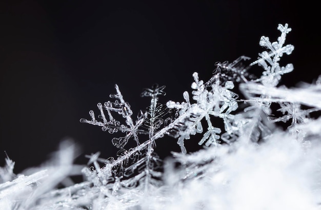 Natürliche Schneeflocken auf Schnee, Winter