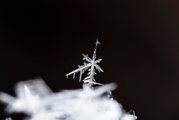 Natürliche Schneeflocken auf Schnee, Winter