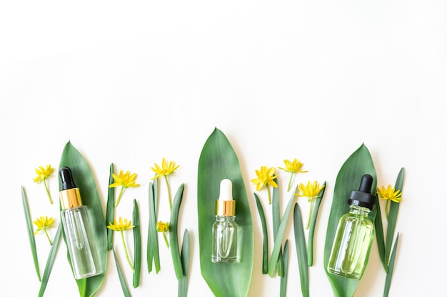 Natürliche Schönheit Bio-Kosmetik und Öle für die Hautpflege an der Wand mit Blättern und Blüten. Anti-Aging-Serum in Glasflasche mit Tropfer. Flüssiges Gesichtsserum mit Kollagen und Peptiden.