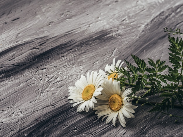 Natürliche Sommerblumen auf grauem Hintergrund.