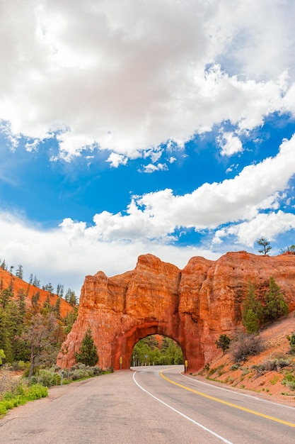 Natürliche Steinbogenbrücke im Red Canyon Nationalpark in Utah, USA