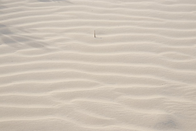 Natürliche Textur von beigem Strandsand