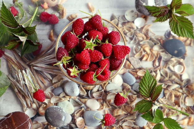 Natürliche Vitamine reife Himbeeren in Glaswaren auf Seekieseln zwischen verstreuten Beerenblättern und Steinen vor dem Hintergrund der Draufsicht der Muscheln