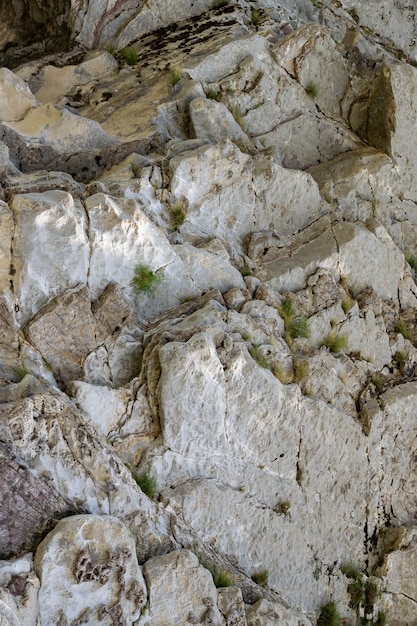 Foto natürliche wellenförmige felsformation entlang des flusses. abstrakter rauer natürlicher hintergrund