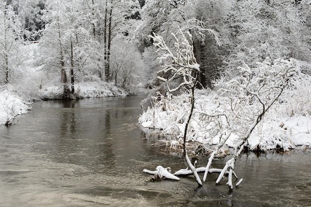 Natürliche Winterlandschaft