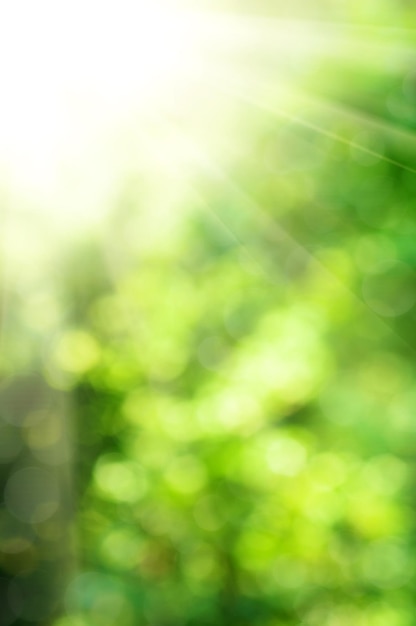 Natürlicher Bokeh-Hintergrund im Freien in Grün- und Gelbtönen mit Sonnenstrahlen