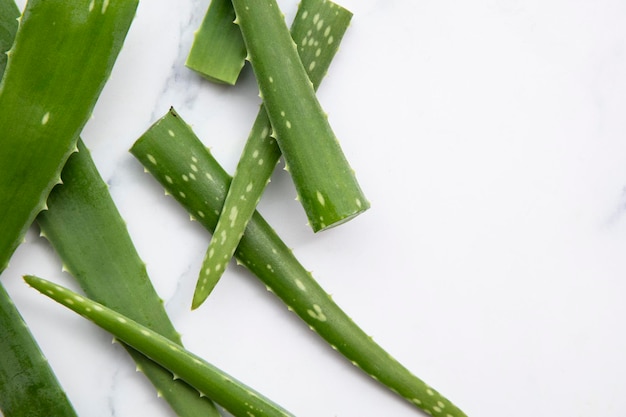 Natürlicher grüner Aloe-Vera-Stammgesundheits- und -wohlhintergrund