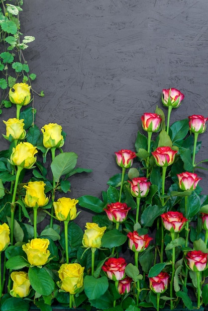 Natürlicher Hintergrund der schönen gelben und roten Rosen Frische Blumen