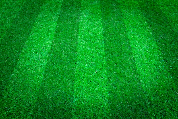 Natürlicher Hintergrund des grünen Grases. Fußballfeld. Draufsicht.