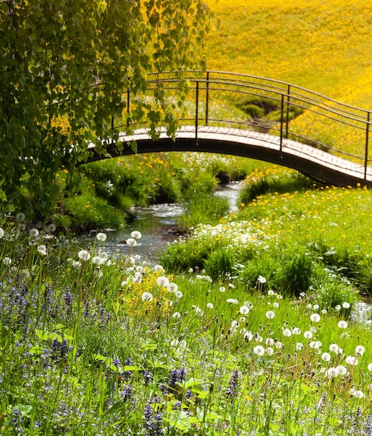 Natürlicher Hintergrund eine Brücke über einen Bach zwischen blühenden Wiesen in der Nähe