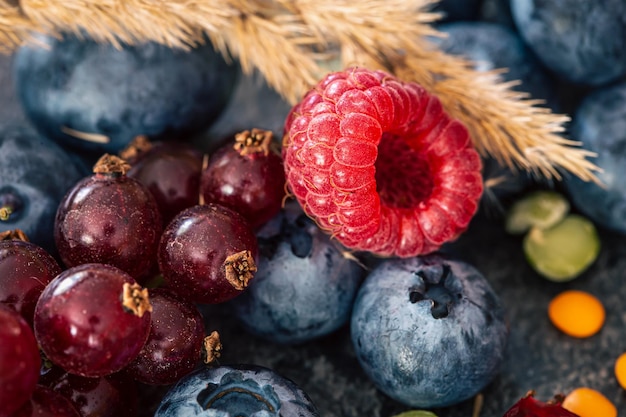 Natürlicher Hintergrund mit verschiedenen Waldbeeren Makroaufnahme