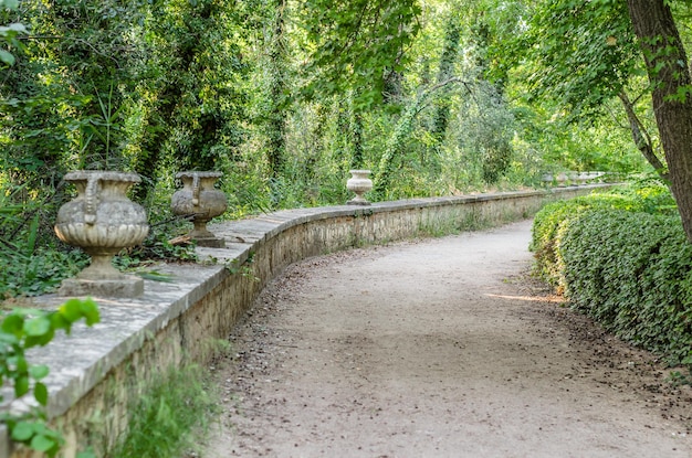 Natürlicher Hintergrundweg in einem Park im Frühling