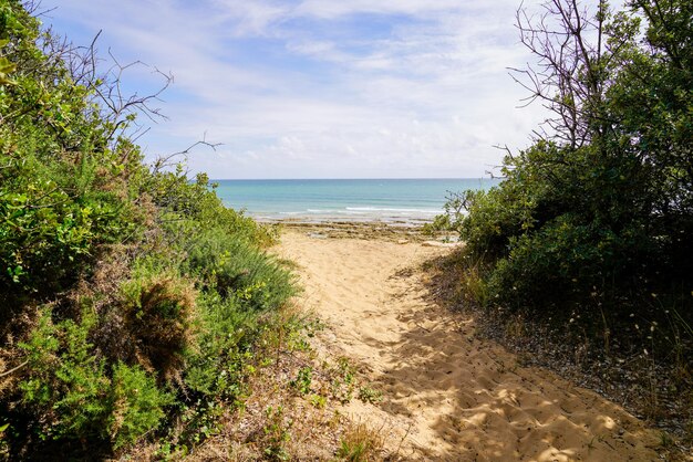 Natürlicher Sandstrand für den Zugang zum Atlantik in Fouras, Frankreich