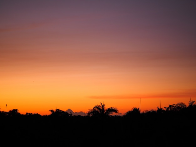 Natürlicher schöner tropischer Sonnenuntergang mit Palmen-Silhouette am Horizont.