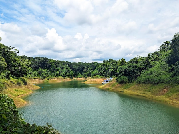 Natürlicher See mit blauem Wasser und Regenwald