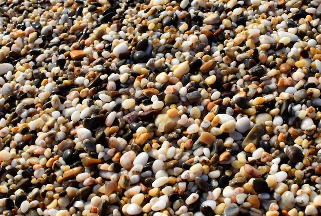 Natürlicher Texturhintergrund, bunte Seesteine im Wasser, Draufsicht