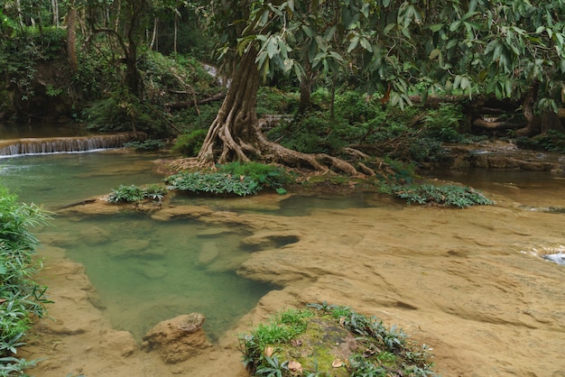 Natürlicher Wasserfall im asiatischen Land