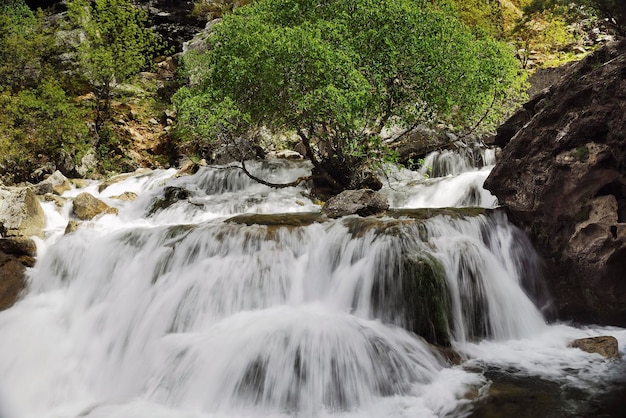 Natürlicher Wasserfluss, der ständig fließt