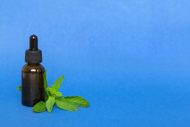 Natürliches ätherisches Minzöl in einer Glasflasche Bio-Kosmetik mit Kräuterextrakten aus Minze auf farbigem Hintergrund