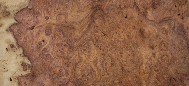 Natürliches Afzelia Maserholz gestreift ist ein schönes Holzmuster für den Hintergrund