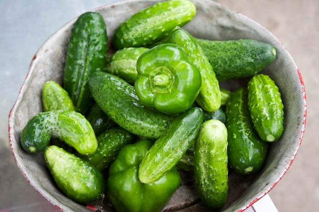 Foto natürliches grünes öko-gemüse auf dem teller gurken und paprika gewaschenes sauberes gemüse aus dem garten