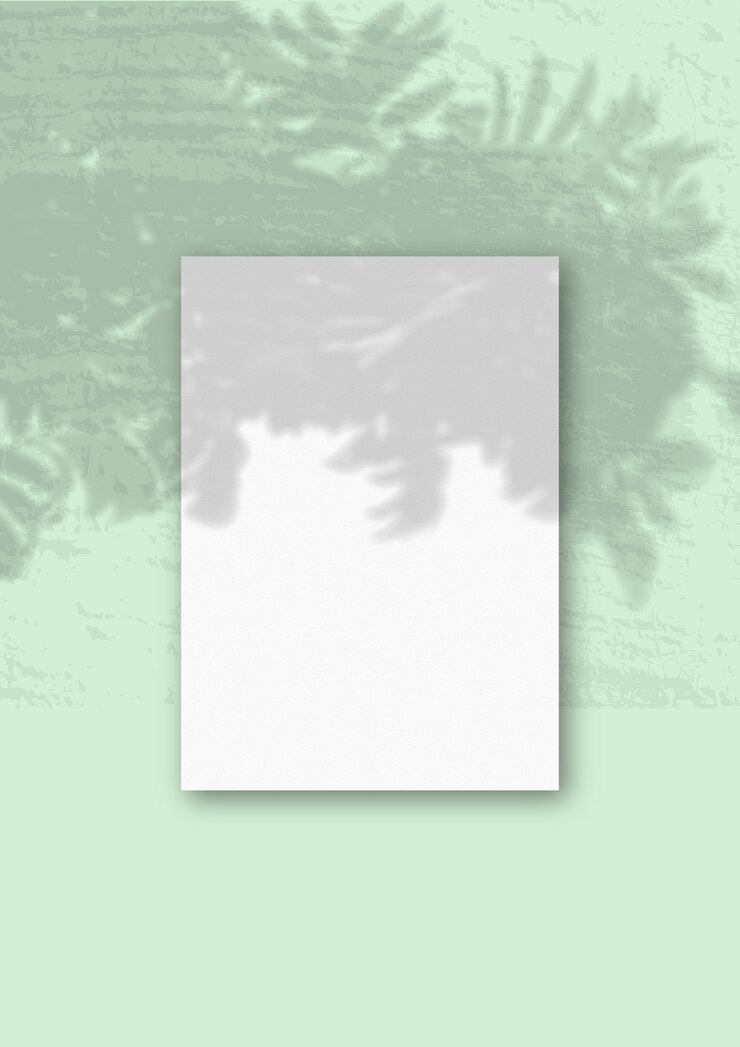 Natürliches Licht wirft Schatten von einem Rowan-Zweig auf ein vertikales A4-Blatt weißes strukturiertes Papier