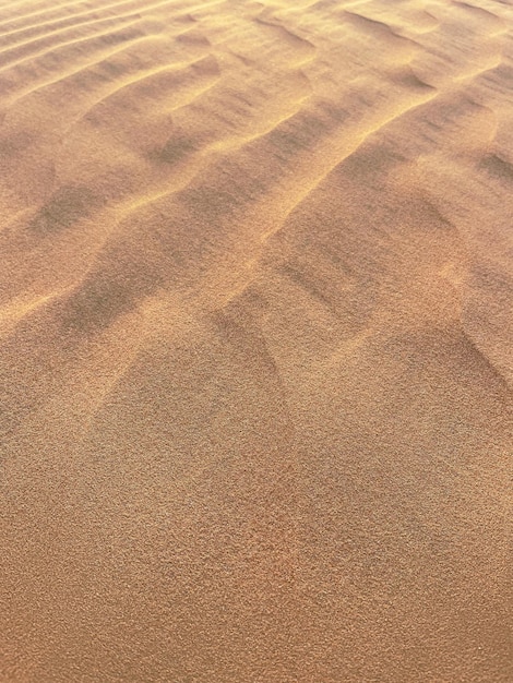 Natürliches Muster auf einem Dünensand bei Sonnenuntergang in der Wüste