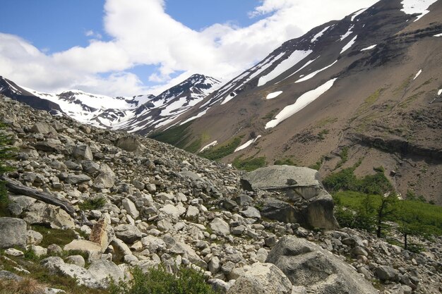 Natur auf w Trek Patagonien