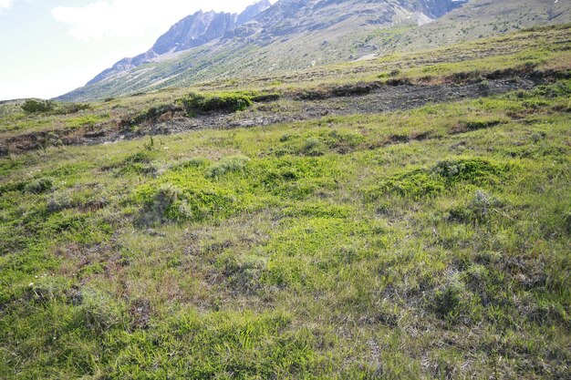 Natur auf w Trek Patagonien