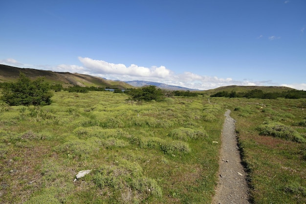 Natur auf w Trek Patagonien