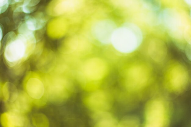 Natur-Bokeh