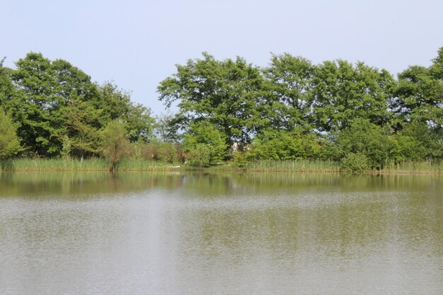 Natur Frühling Grüne Natur