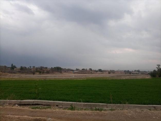 natur grüne pflanzen agriculter landschaft