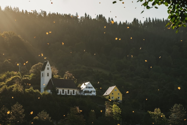 Foto natur-grüner sommer-gebirgsozean