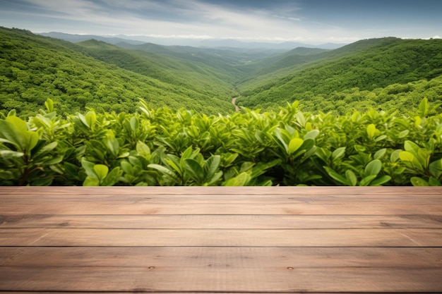 Natur-Hintergrundkonzept mit einem Holztisch oder Schreibtisch mit Teeplantage als Rahmen für Displa