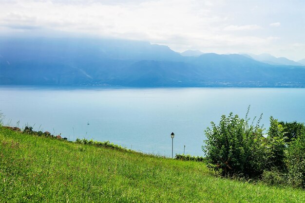 Natur im Lavaux, Bezirk Lavaux-Oron, Schweiz