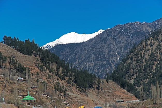 Natur im Swat-Tal des Himalaya Pakistan