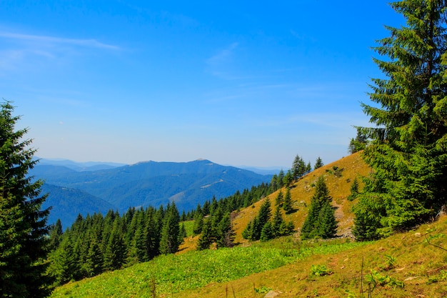 Natur in den Bergen, schöne Landschaft, schöne Berglandschaften im Sommer, Karpaten.