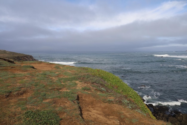 Natur in den Mendocino-Parks in Kalifornien