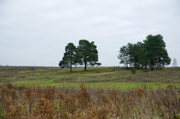 Natur in der Herbstsaison