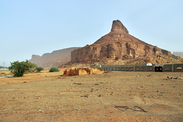 Natur in der Wüste in Al Ula in Saudi-Arabien