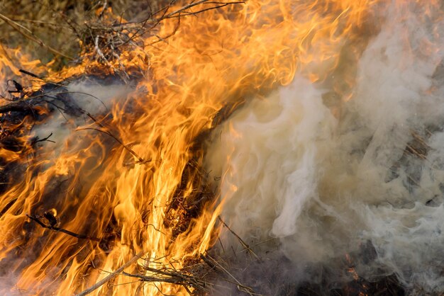 Natur in Gefahr Katastrophe mit brennendem Wiesenfeld wildes offenes Feuer zerstört Gras auf einem Feld