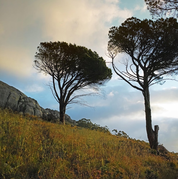 Natur Kapstadt-Gebiet Natur rund um die Stadt Kapstadt in Südafrika