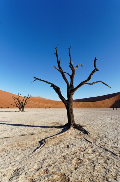 Foto natur landschaft landschaft natürliches reiseziel schöner wüstenhimmel