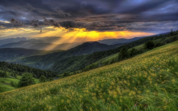 Natur mit Sonnenuntergang und blauem Himmel